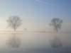 NWK 2014 065_small.jpg
